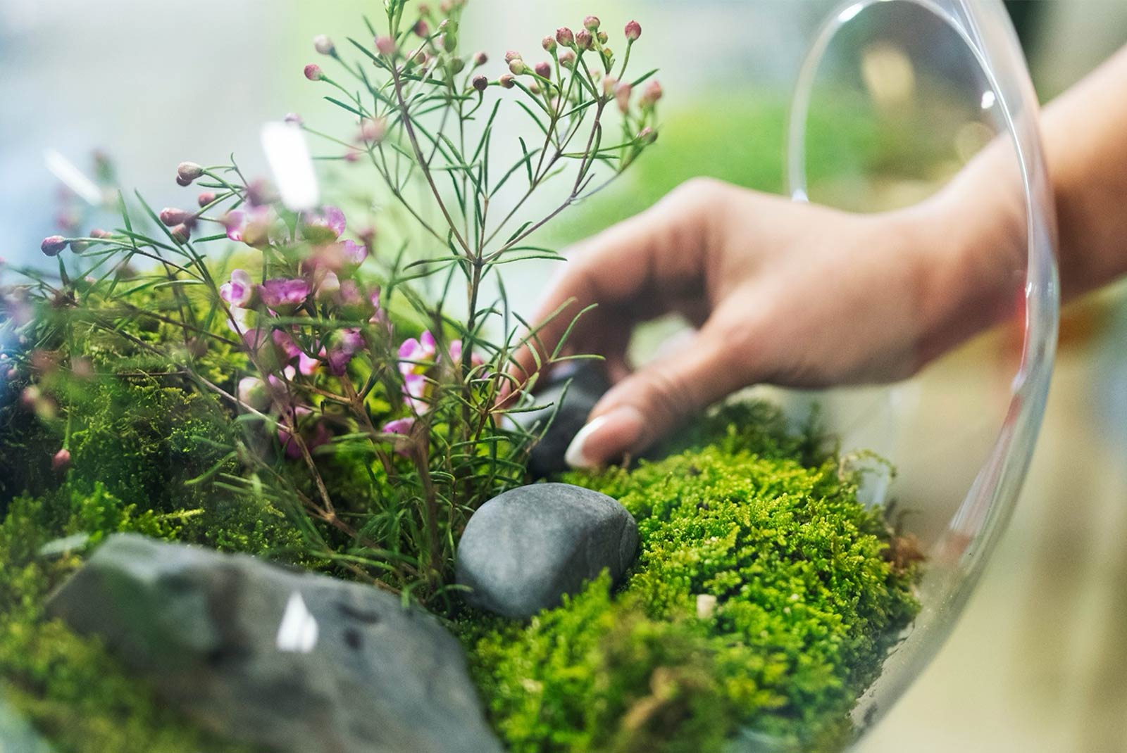 SUSTAINABILITY<br> A Vibrant Ecosystem of Creativity & Commerce